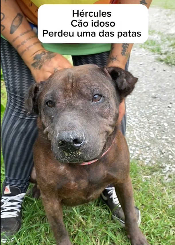 WhatsApp Image 2025-04-07 at 00.52.58