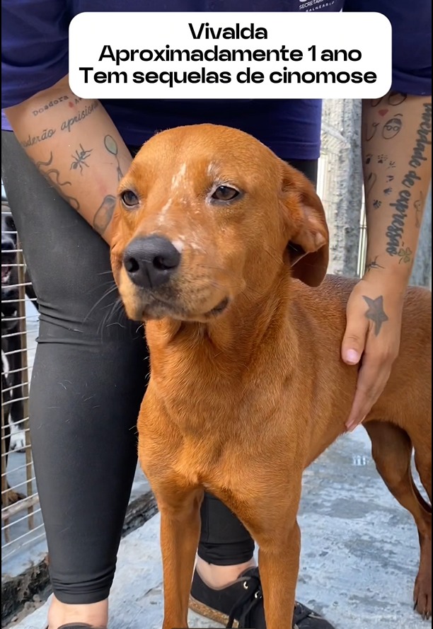 WhatsApp Image 2025-04-07 at 00.53.25