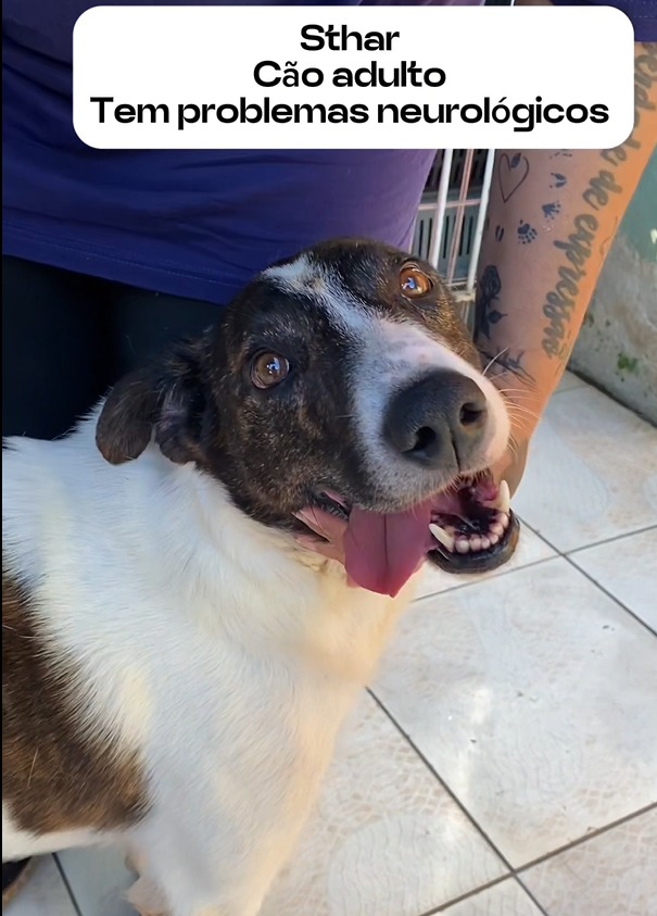 WhatsApp Image 2025-04-07 at 00.54.07