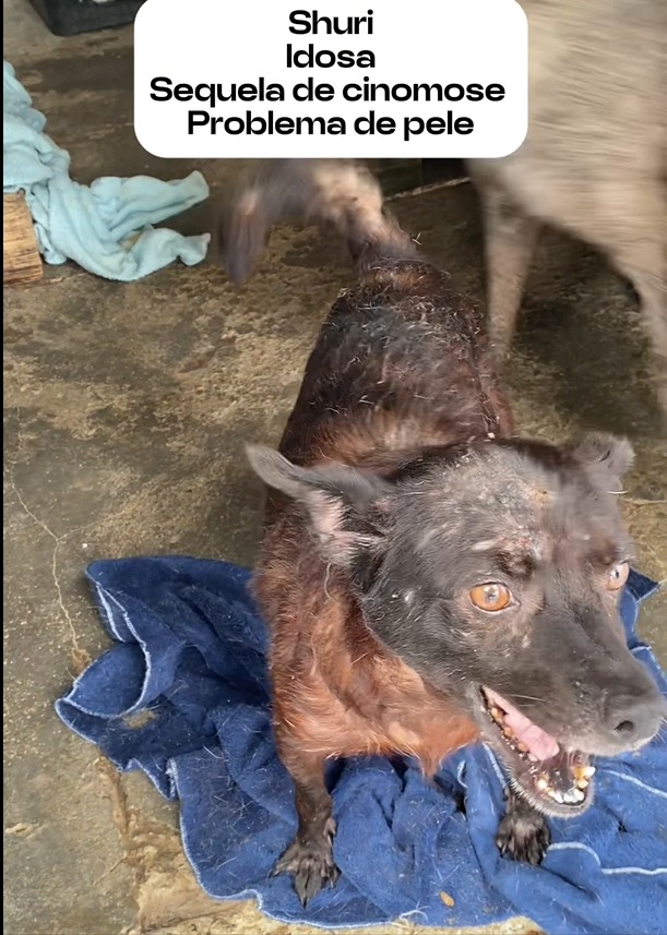 WhatsApp Image 2025-04-07 at 00.54.54