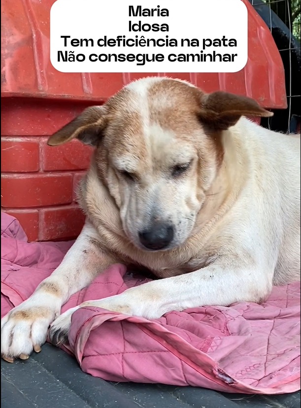 WhatsApp Image 2025-04-07 at 00.55.21