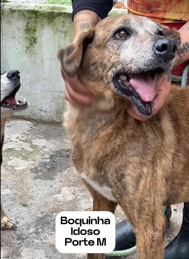 WhatsApp Image 2025-04-07 at 00.56.29