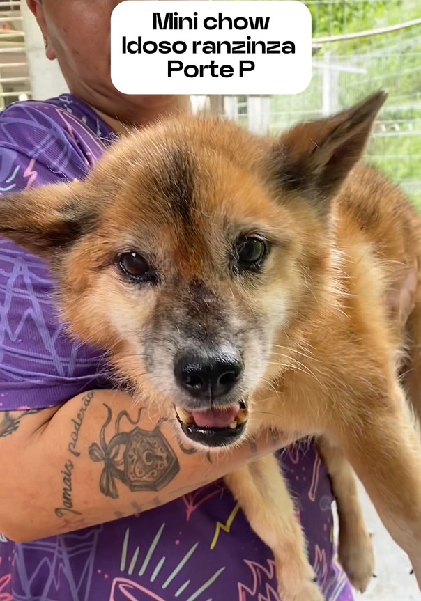 WhatsApp Image 2025-04-07 at 00.56.44