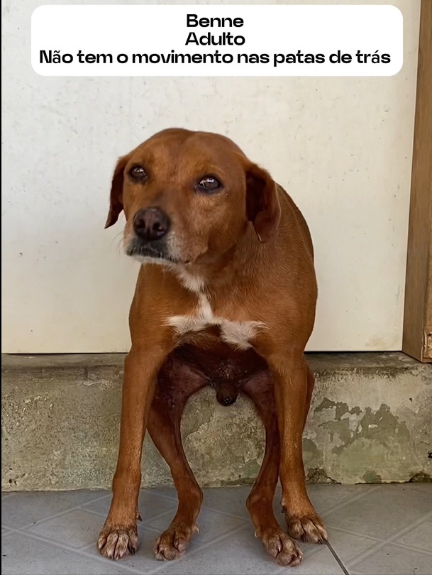 WhatsApp Image 2025-04-07 at 00.57.16