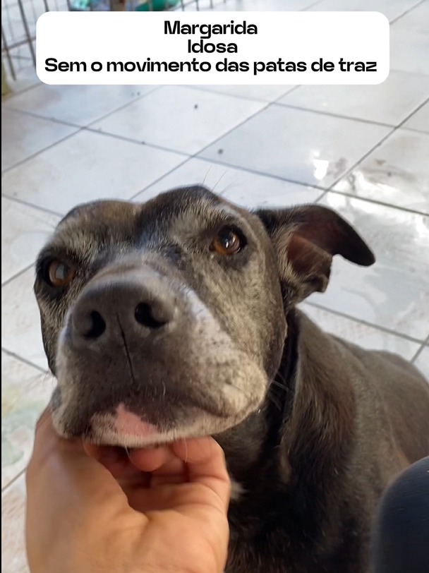 WhatsApp Image 2025-04-07 at 00.57.44